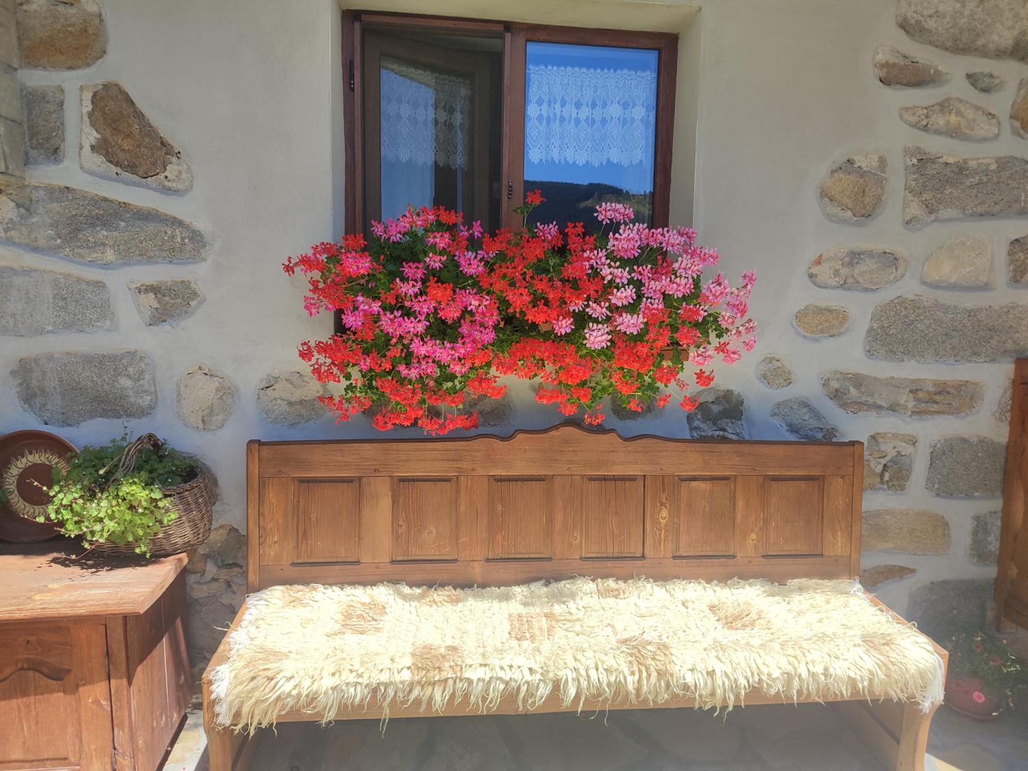 Hotel Радкината Къща Koprivshtitsa Exterior foto